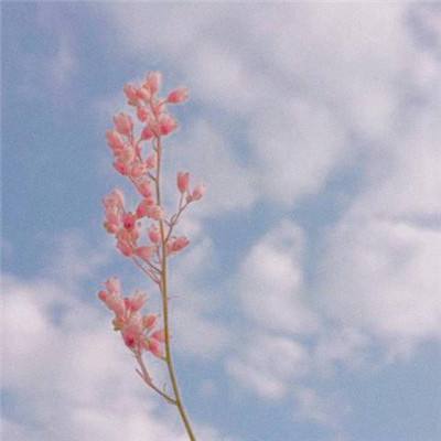 尊龙人生就是博登录